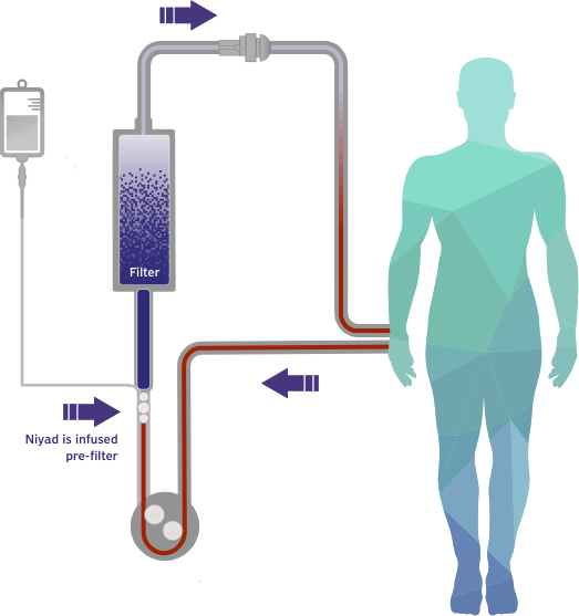 niyad renal replacement - diagram